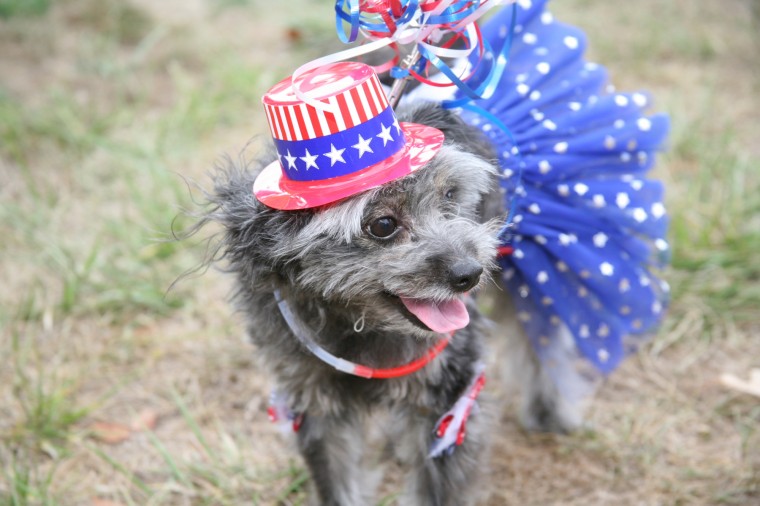 Yappy Hour!